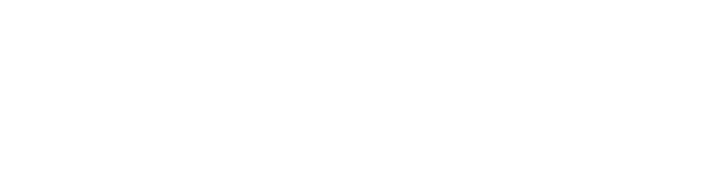 Liberty Mutual